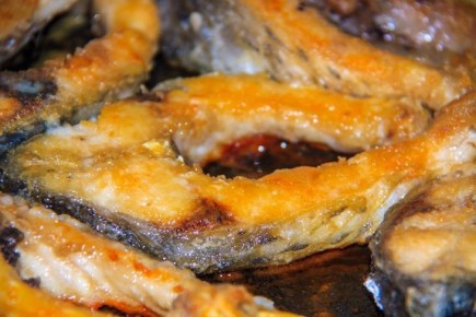 ������ ��������� ����: ��������� � ������������ ������� ������������, ������� ������� ����