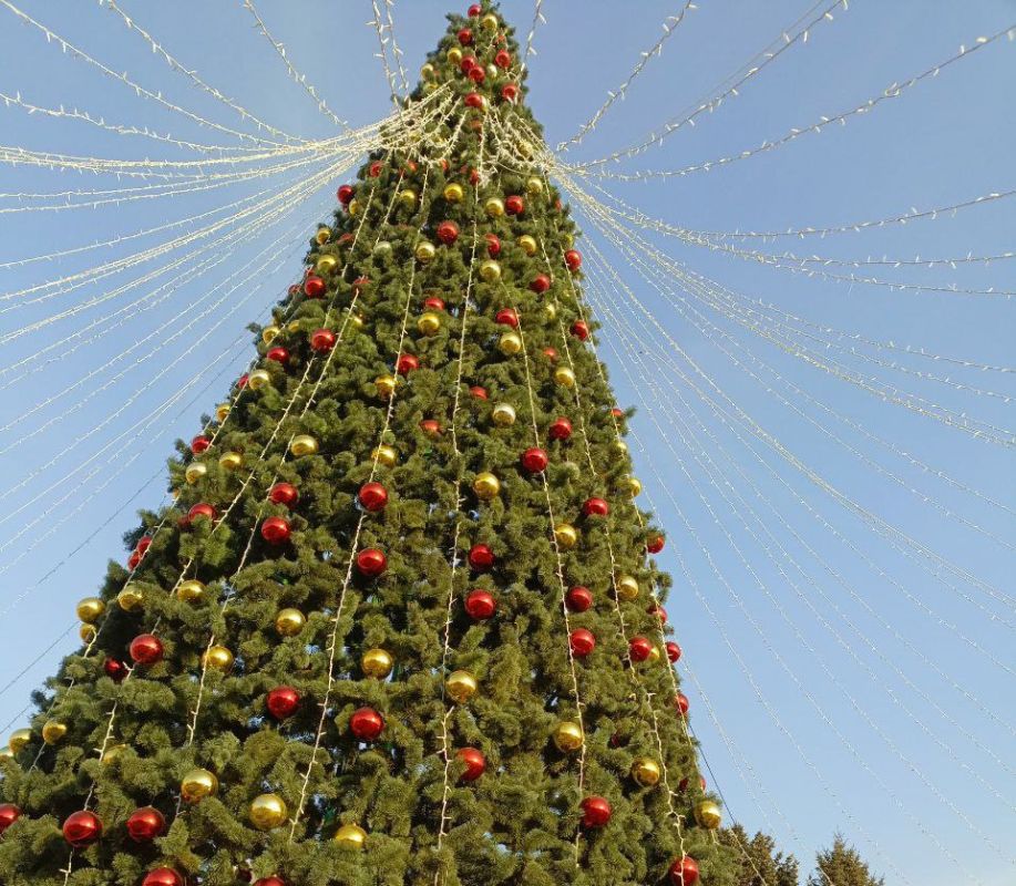 Вот и пролетели праздники