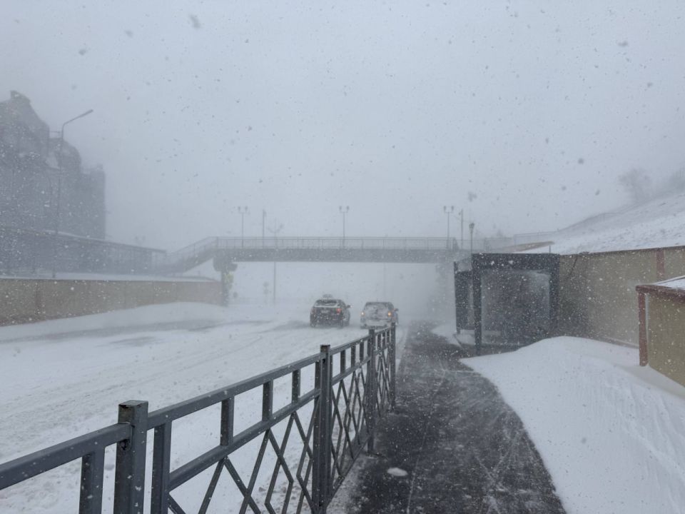 �� �������� ����� �� ���������� ������� ������������ ���������������� ���������������� 47 �������-������������ ������������, �� ��� 6 � � �������������