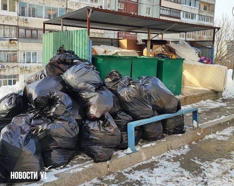 Экологический оператор старается вывозить мусор с улиц Владивостока вовремя, но не всегда получается