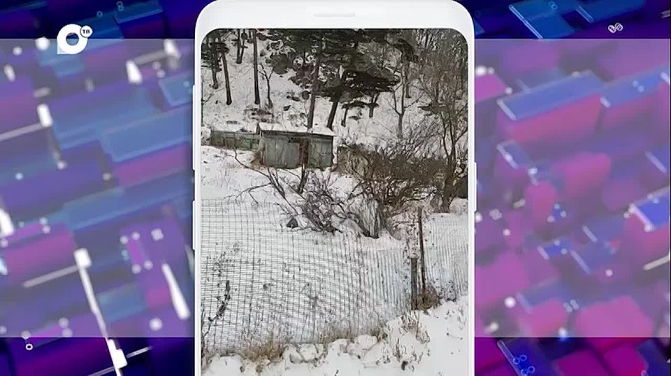 В селе Безверхово уже три дня нет водоснабжения