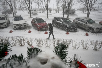 ������ ����, �����������. ���� ���������� ����������