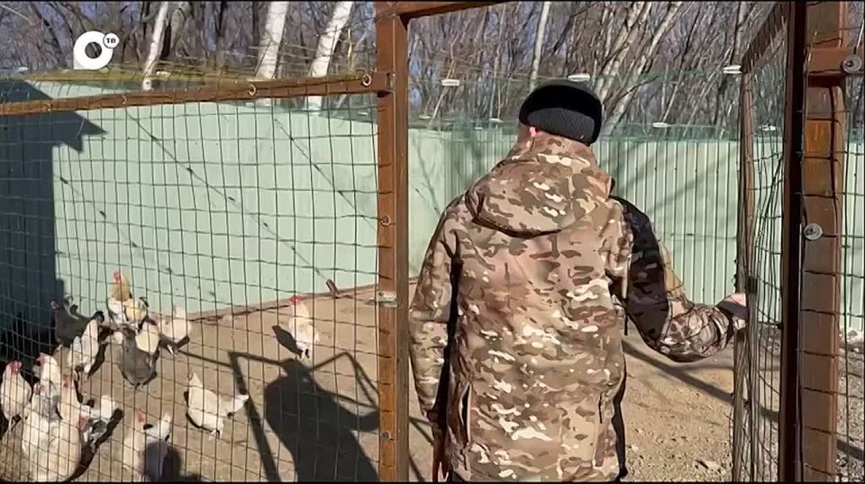 �������� ��� ������� ���������� ��������� ������������ � ���������� ������