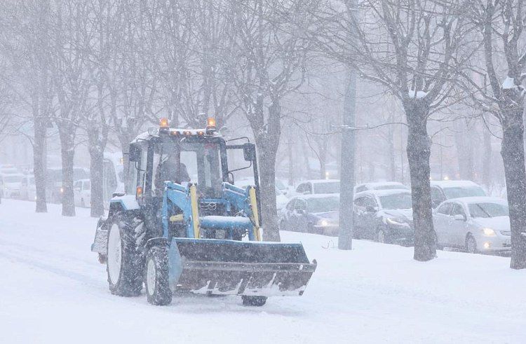 В Приморье прошедший снегопад может повториться лишь раз в пять-шесть лет