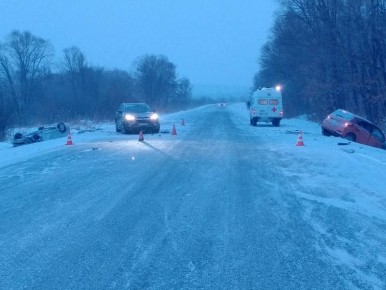 ����������������: � ����������� ��� ����� �������-������������ ������������ �� ���������� ����������� ���� �� ��������