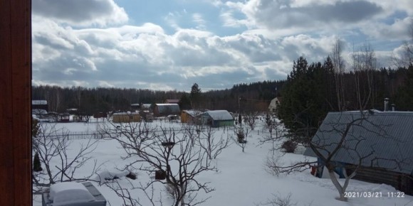 Садоводы России: новые изменения в законе и продление дачной амнистии