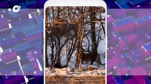 � ���������� ������ ���������� �������� ����������� ����� � ���� � �������� ������