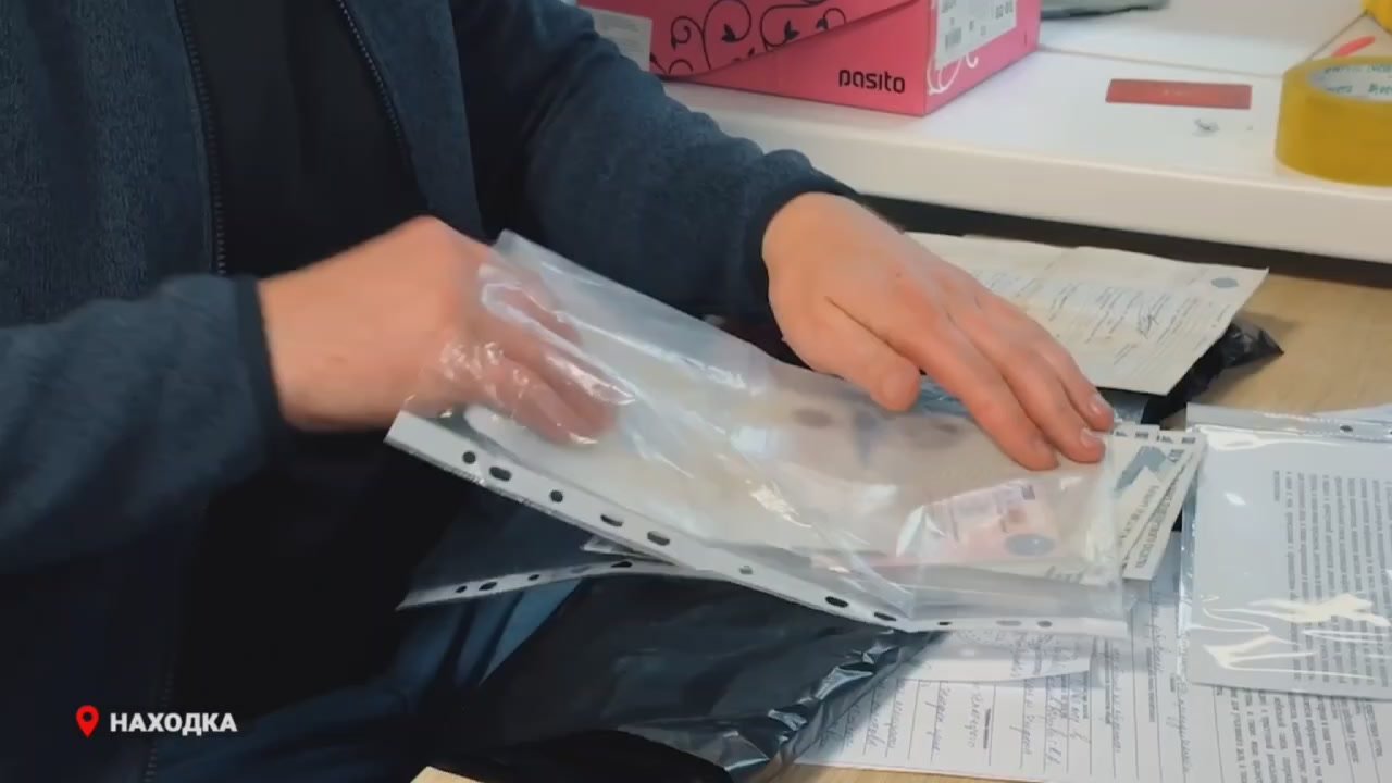 В Приморском крае полицейские задержали участников мошеннической схемы при реализации автомобилей