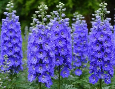 ���������� ��������������� ���������� ����������������� ��������� ���� ������ ������ ������ ������������ �� ����� 5 ������ 2026 ����