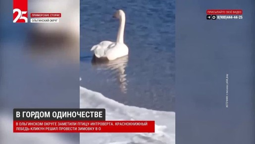 � ������ �����������. � ���������� ������ �������� ����� ���������� ������������� ������-������ ����� �������� ������� � ����������� � ����� �����