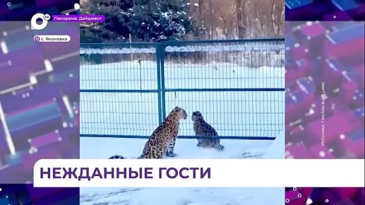 �������� ������� �� ���������� �������� ���� � ���� ��������