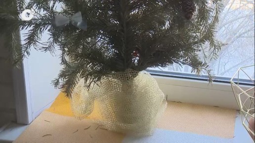 ����� �� ������������ ���������� ���������� ���� ����� �������� ��������