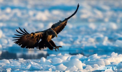 ������ ����, �����������. ���� ���������� ����������