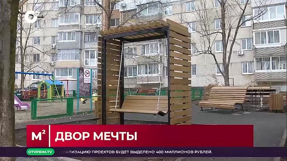 Когда приморцы планируют заняться утилизацией новогодних ёлок?