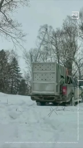 ���������: ����� �����������! �������� ���� ������ �������� ����� �� ������ ������