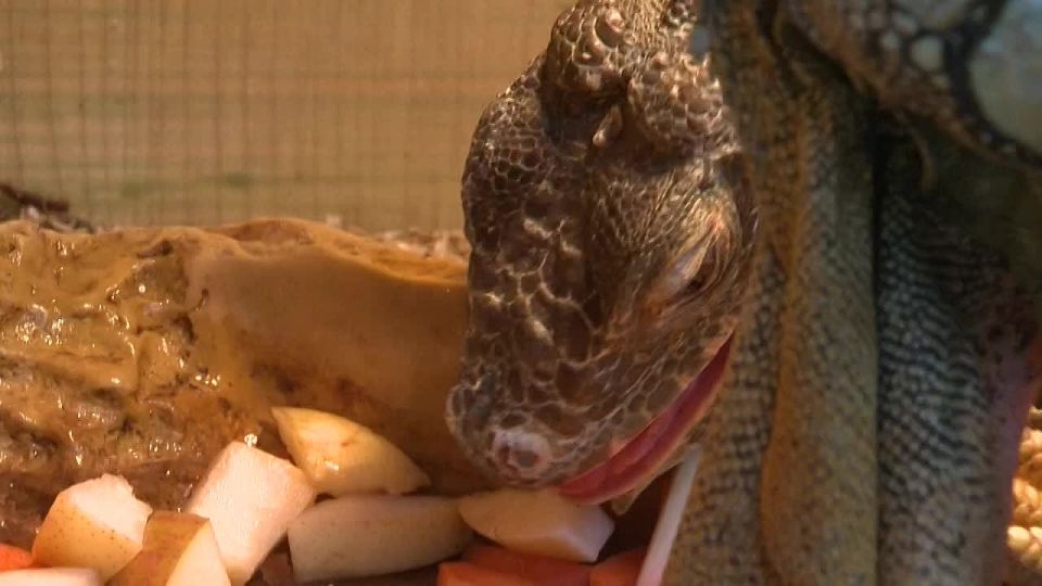 ������ ������ - �� ������������ � �������� �������� ����������