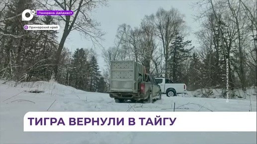 ������������ � �������� ����� ������� � �����