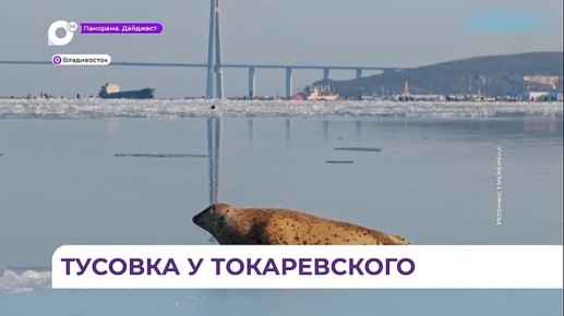 �������� ���������� ���� ��������� � ������������ ����� �� ������������