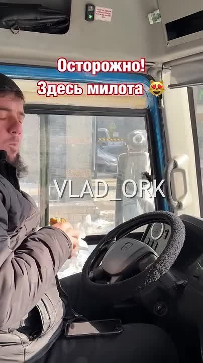 Во Владивостоке водитель автобуса угостил голубей своим обедом