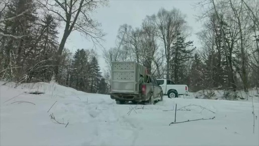 � ���������� ��� ������� �����, ��������� �� �������� ������