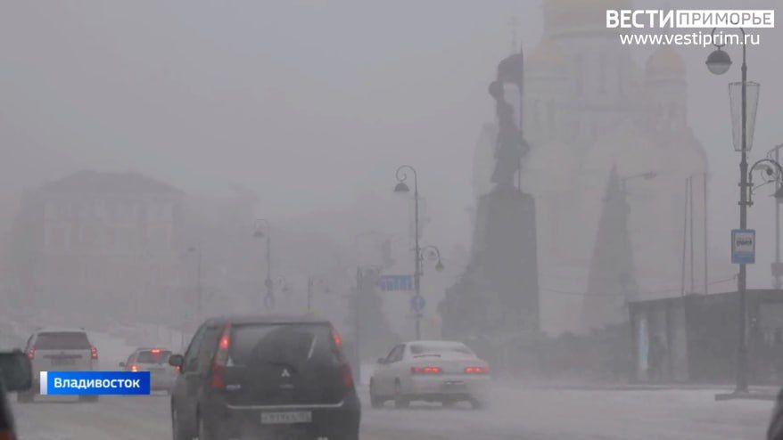 Циклон принесет новую порцию осадков в Приморье: названа дата ...