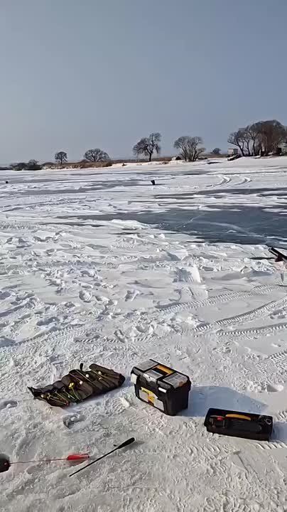 � �������� �������� ������ �� �������� ����