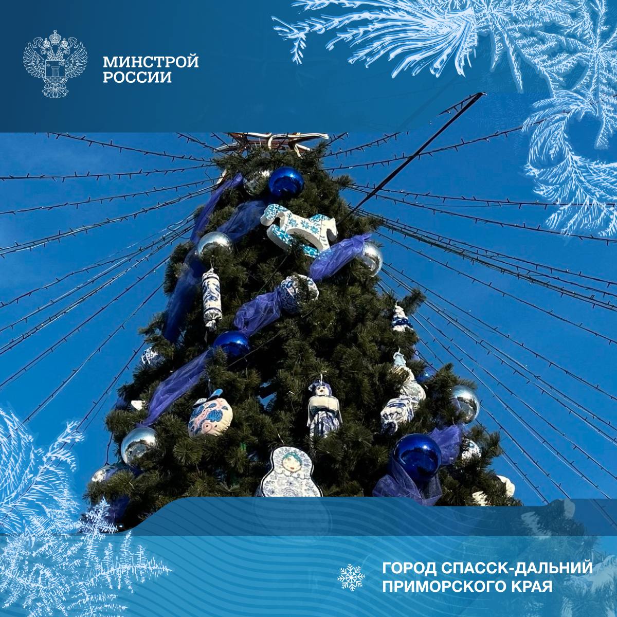 Определены победители Всероссийского конкурса «Елки России» Определены победители Всероссийского конкурса «Елки России»
