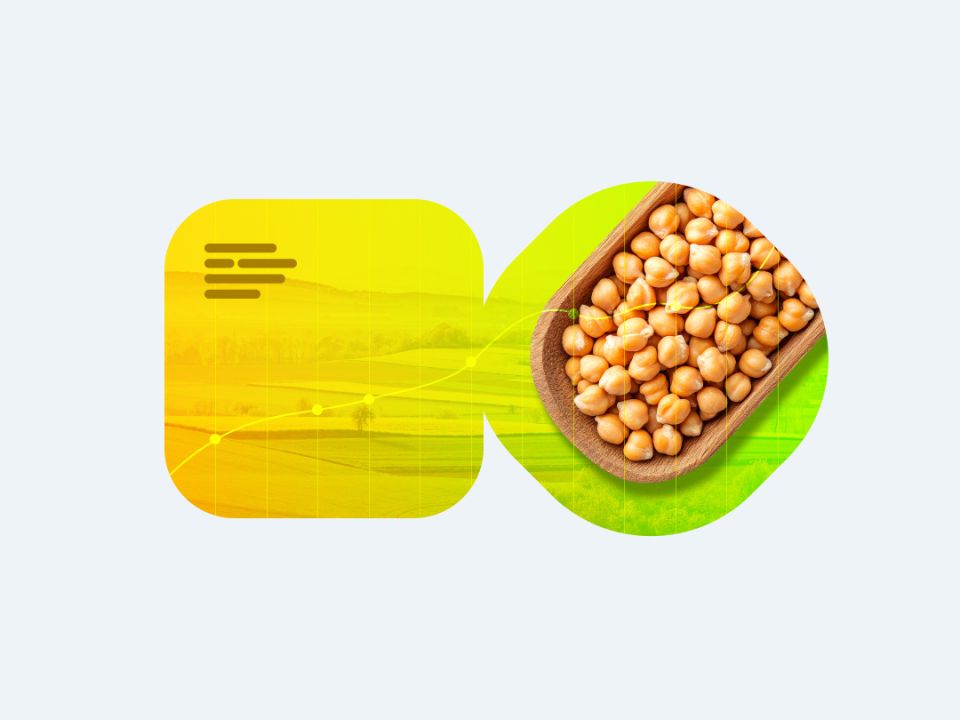 Нут в России: от экзотики до ключевого игрока на агрорынке