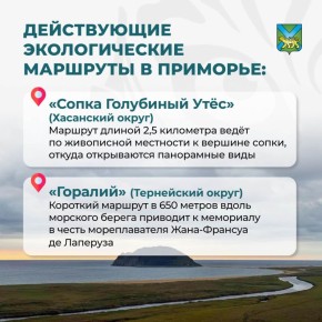 ������� �������� � ����������������� �������������� ��� �������������� ������� � ��������