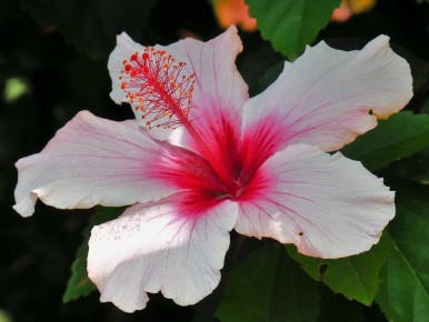 ��������� ������: ��� �������� �������� ����������� � ���������� ������