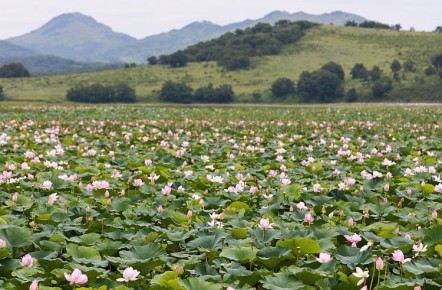 � �������� ����������� �������������� ��� �������������� ������� � � ��������������� ������� � ��������������� �������� �� ����� ���������� ��������� �����������