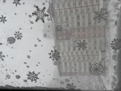 ����� ������ ����� ������� �������� � ��������� ���