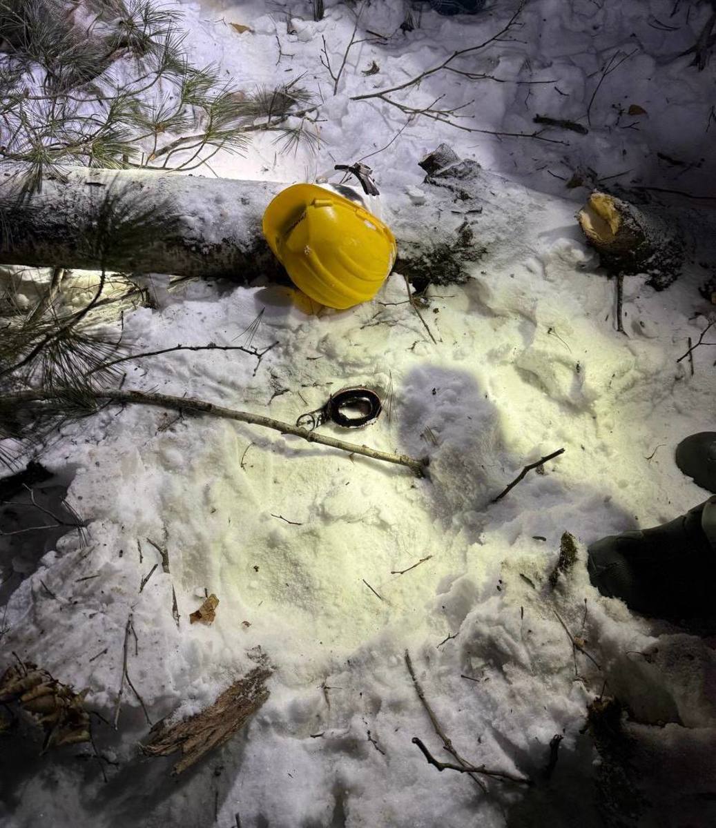 В Приморье вальщика леса убило деревом