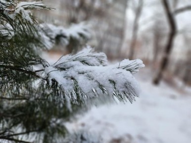 �� �������� ����������� ���������� ������ - �������