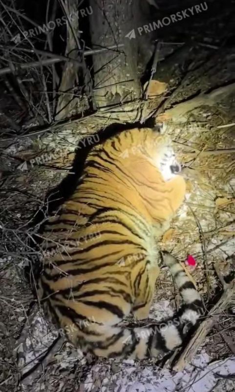 ����������� ������� �������� ��������� �����, ������� �������� ����������� ��������� � ������������� ������