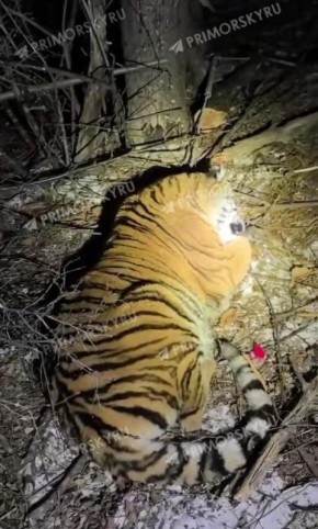 ����������� ������� �������� ��������� �����, ������� �������� ����������� ��������� � ������������� ������