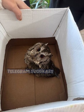 �� ������������ �� ���� ������ ����� �� ���� � ����� ������ ��������