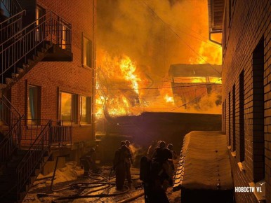 �������� �� ��� ������ ��������, �����������, 15� ���� ����������