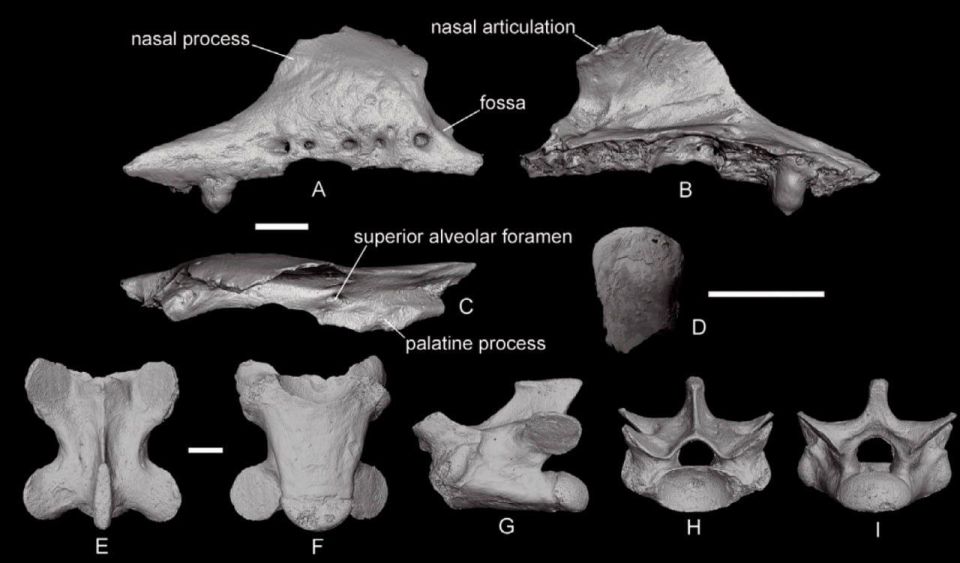 � �������� ������ ������� ����� ���������� ����������� ����� �����������