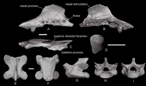 � �������� ������ ������� ����� ���������� ����������� ����� �����������