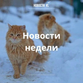 ��������� ������ �� �������� VL, ������� �� ����� ����������: