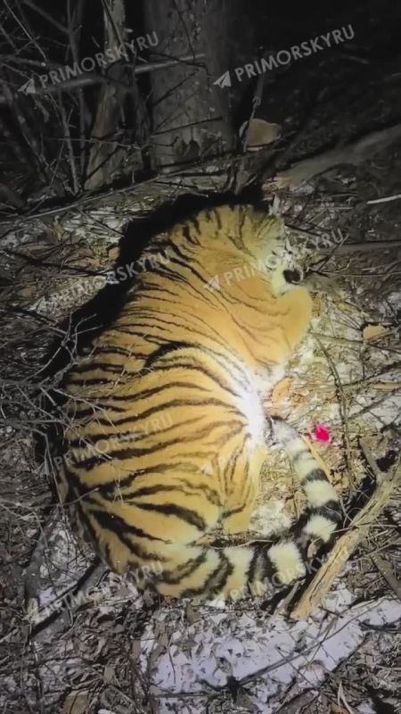 �������� ����� � ������ 2026 ���� �������� � ���������� �������������� ������