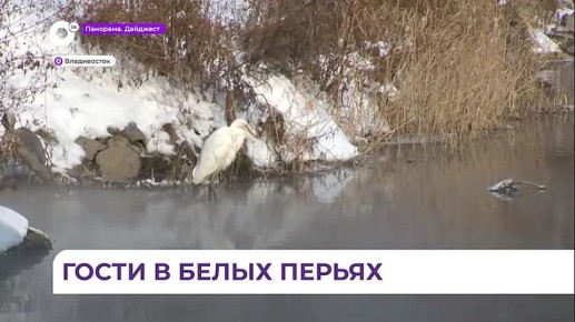 ��� ����� ������������ � ���� � ������ ������ ����� �� ������������