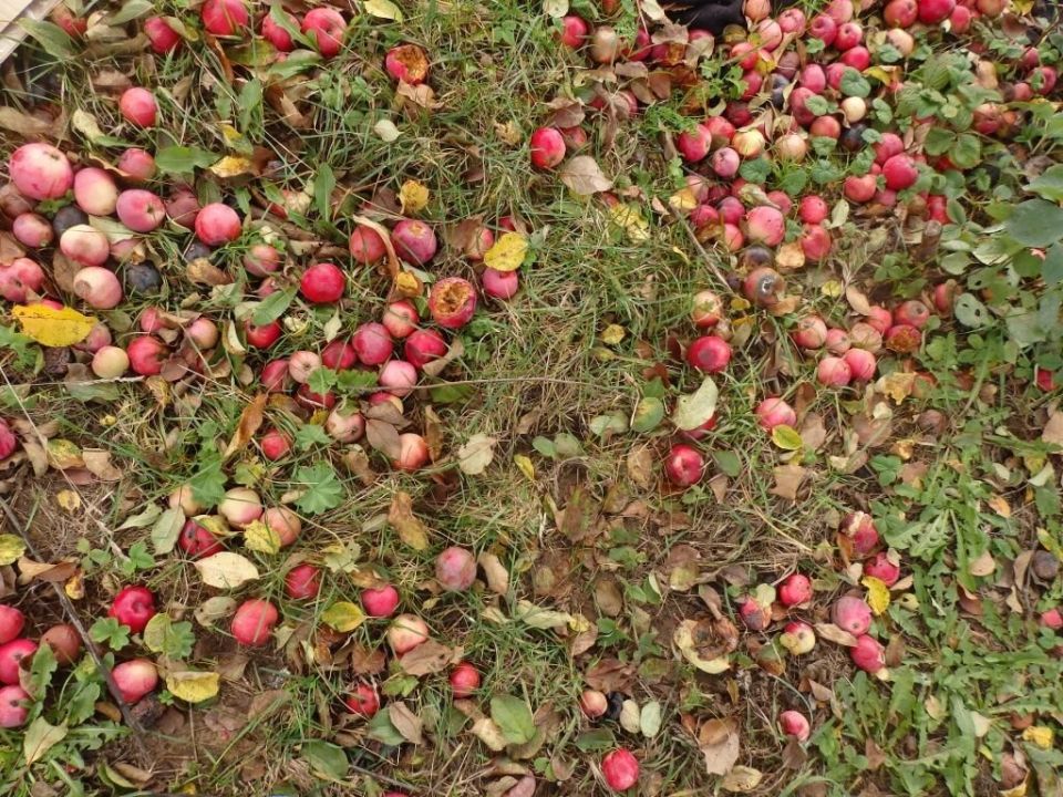 ��� ���������� � ���������: �������� ������ ��� ���������