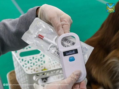 ������������ ����������� ����� � ��������