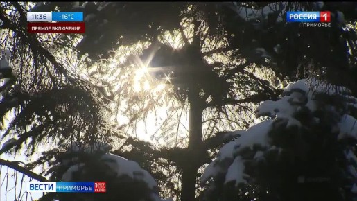 ��� �������� ������������ � ��������� ��������