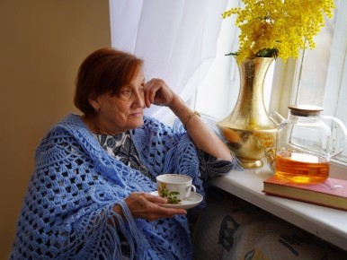 ���������� ����������: ������������ ����� ��� ��������������� ������ � 2026 ����