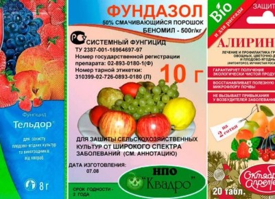 ������ ����� ���������� �� ���������: ����� ������������� �������� ���������