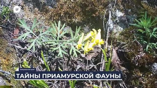 �� ���������� ������������ ���� 6 ��������������� ��������� ������������