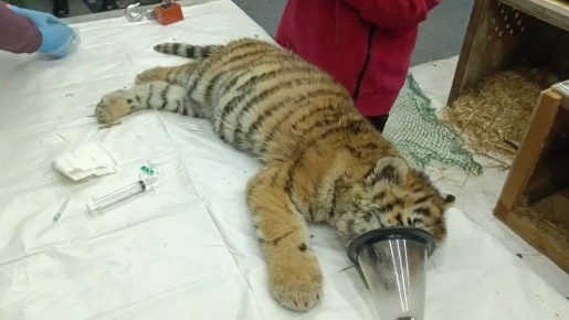 ��������� � ������ ������� � �������